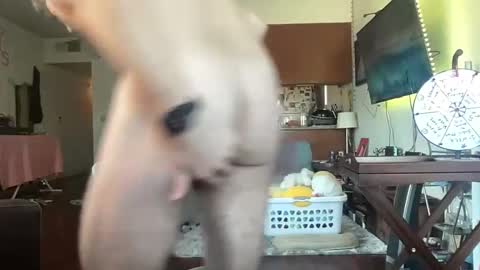 Pup Scritch online show from January 17, 8:48 pm