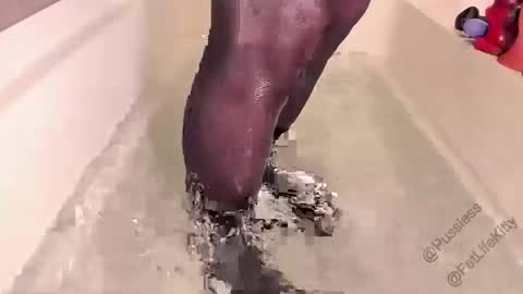 Pussless MxyMonroe your FetLifeKitty online show from December 16, 7:32 pm