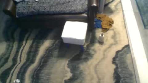 Randy8inbater online show from February 18, 8:12 am