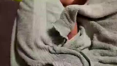 readytoblow692775 online show from March 11, 1:18 pm