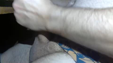 Snapshot of realman034 chatting on March 4, 2:17 am realman034 online show from March 4, 2:17 am