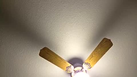 red24devils online show from April 23, 6:32 pm