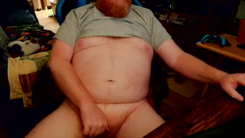 red_sea_bear online show from July 11, 12:29 pm