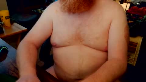 red_sea_bear online show from April 24, 3:53 am