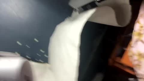 rg693669xxx online show from February 28, 10:52 am