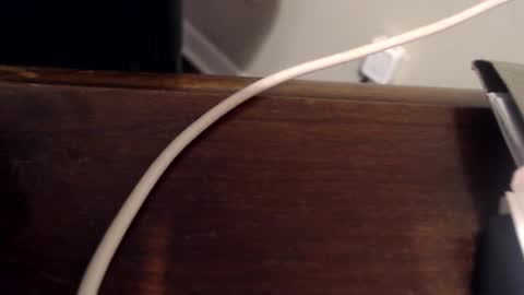 Trae online show from February 17, 1:10 pm