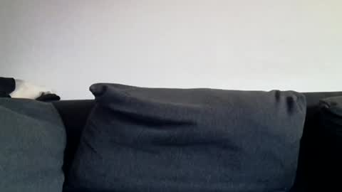 Shaved cock ready online show from March 31, 6:04 am