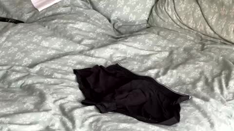 rob616580 online show from April 30, 12:01 pm