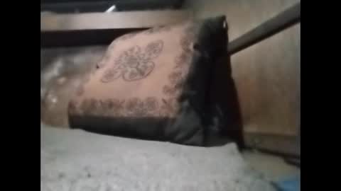 R online show from March 1, 11:21 am