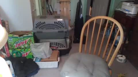 rocky082288 online show from March 16, 12:53 pm