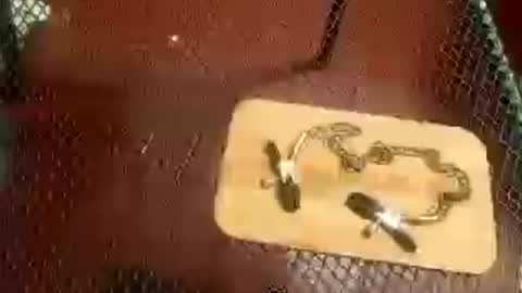 ruccoa122 online show from August 4, 1:44 am