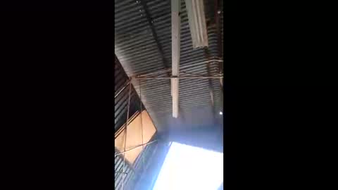 rustynuts95716 online show from March 10, 1:55 am