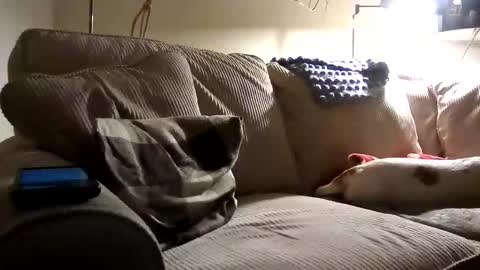 Rusty online show from September 25, 1:48 am