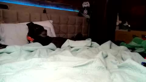 ryan198650 online show from March 22, 3:55 am