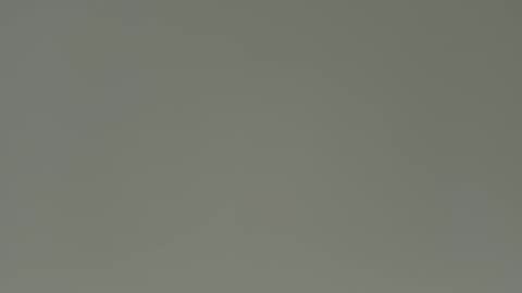 saconuts online show from April 24, 3:47 pm