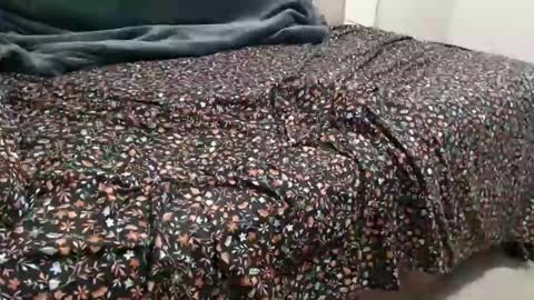 dadbod online show from December 15, 8:04 pm