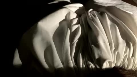 sainiboy9999 online show from November 11, 7:30 pm