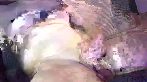 scotty2hotty46_ online show from August 7, 2:18 am