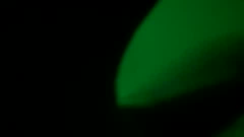 Snapshot of seanlydo chatting on October 12, 9:53 pm SeanWadGodDamn online show from October 12, 9:53 pm