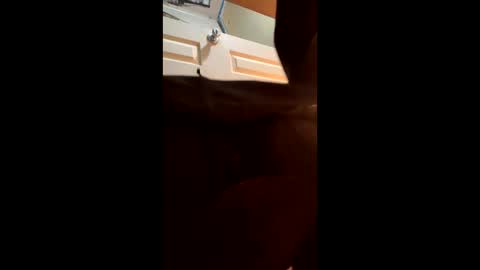 seb973472 online show from November 2, 1:43 am