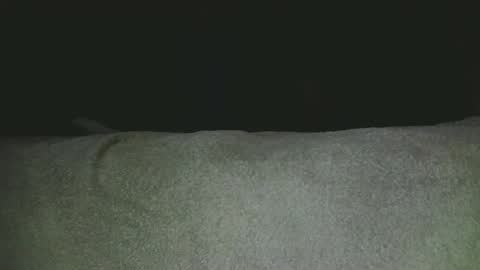 septpouce77 online show from April 3, 1:35 am