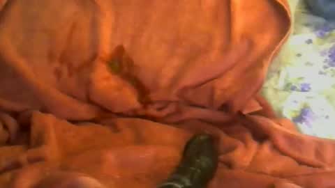 sherbearxrayghost online show from April 7, 3:23 pm