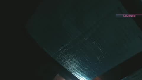 silvabranko online show from April 27, 2:08 am