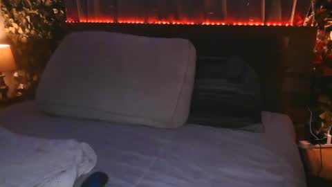 skyonetoo3 online show from November 12, 2:39 am