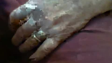 ResqPylot2 online show from February 4, 4:13 pm