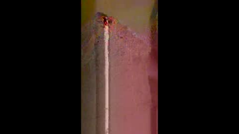 smithholes online show from June 8, 2:18 pm