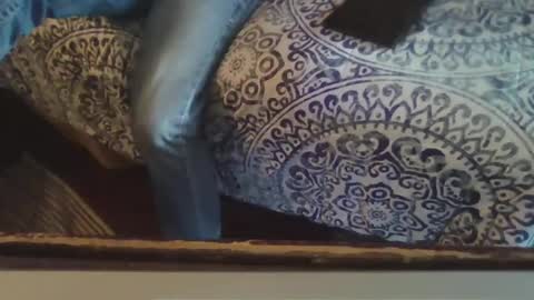 Smithology online show from February 20, 10:26 pm