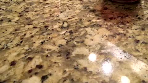 Peter Johnson online show from December 25, 8:28 pm