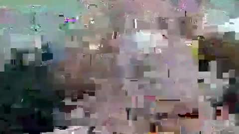 snakey boy online show from November 26, 10:07 am