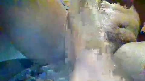 source1012 online show from December 24, 3:16 pm