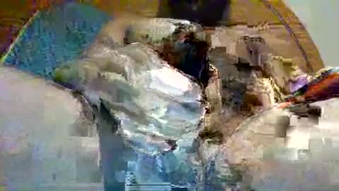 source1012 online show from December 20, 9:28 pm