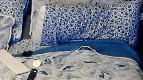 KIT online show from July 14, 2:05 am