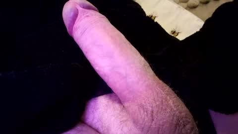 species online show from January 8, 9:21 am