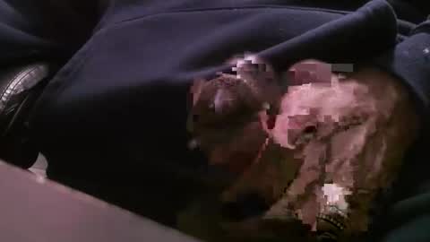 spiderwebb69 online show from January 11, 6:55 pm