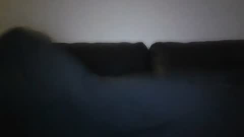Snapshot of spritzer47 chatting on January 19, 9:45 pm spritzer47 online show from January 19, 9:45 pm