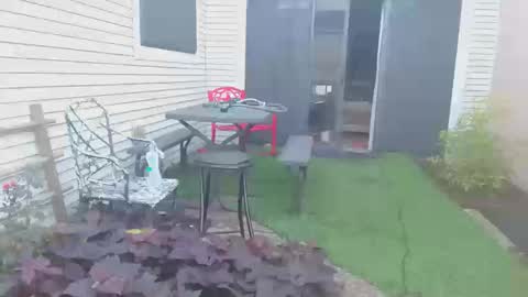 srtxshow online show from October 20, 12:53 pm