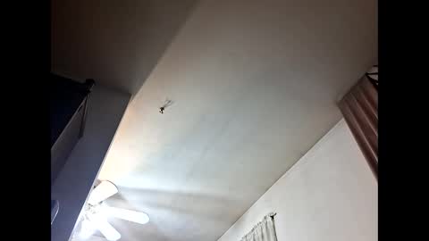 stakeman26 online show from November 17, 9:23 am