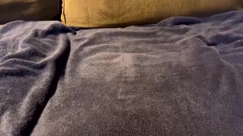 stiffrick682 online show from January 9, 11:34 pm