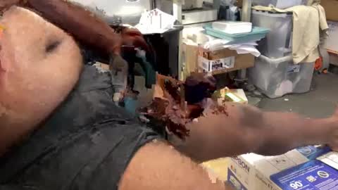 NAV online show from February 7, 8:31 pm