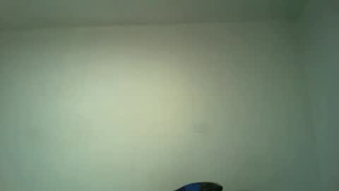 Snapshot of suaber_ chatting on September 23, 11:37 pm suaber_ online show from September 23, 11:37 pm