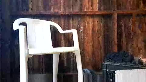 syevecrl online show from October 27, 12:46 am