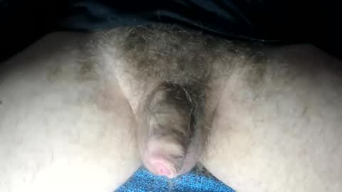 mr taco online show from February 13, 3:35 pm