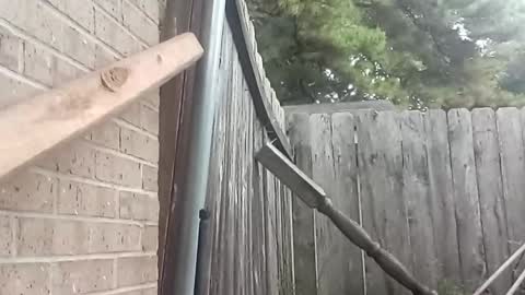 tadfn online show from September 24, 10:30 pm