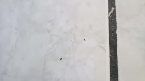 tall6feet7inch online show from September 14, 11:45 am