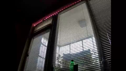 Beliqnegar online show from February 1, 8:46 am