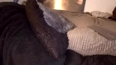 Jean pool online show from February 23, 2:24 am